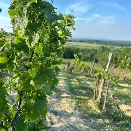 Romantisches Ferienhaeuschen In Den Weinbergen Von Mit Schoener Aussicht Garabonc